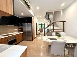 Holland Link (D10), Terrace #593005231